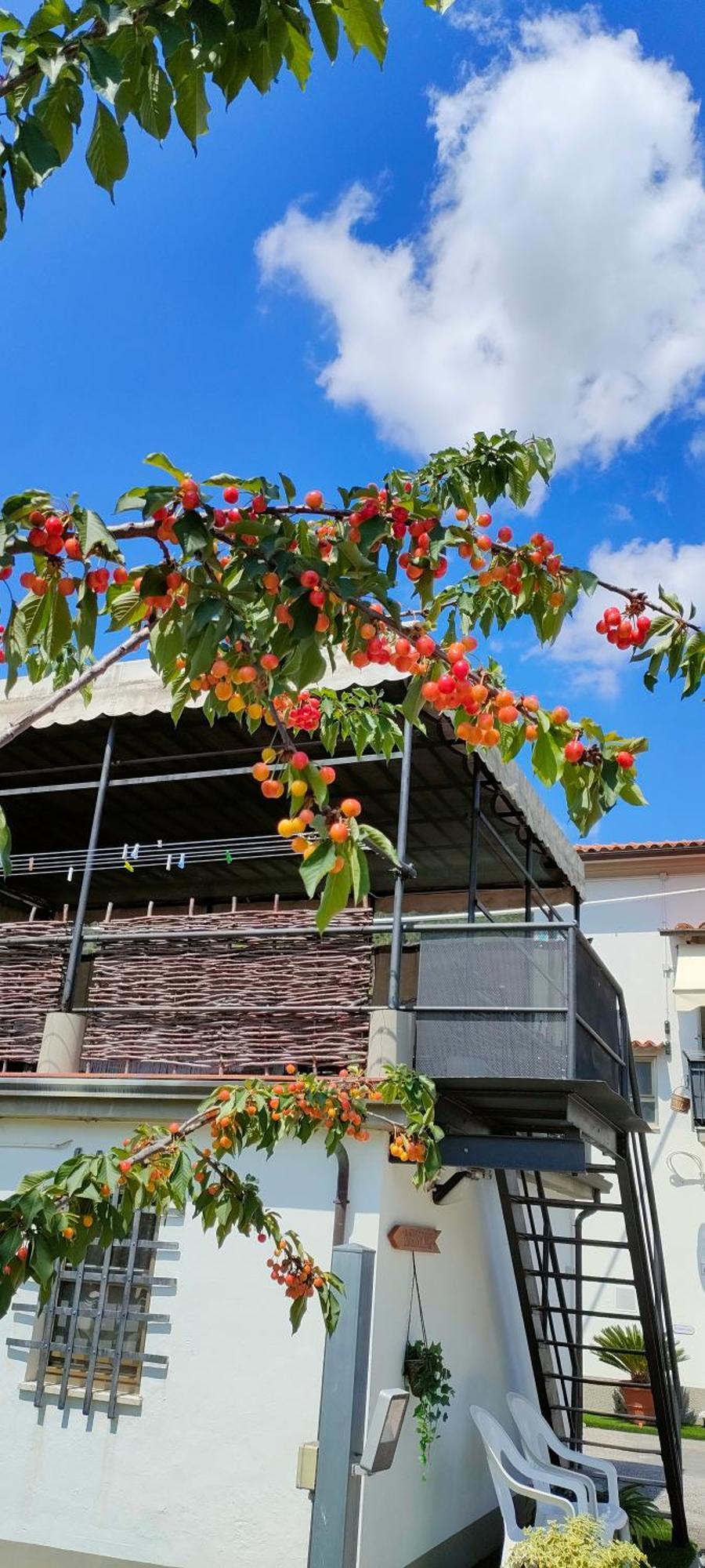 La Tenuta Di Eva 比萨 外观 照片