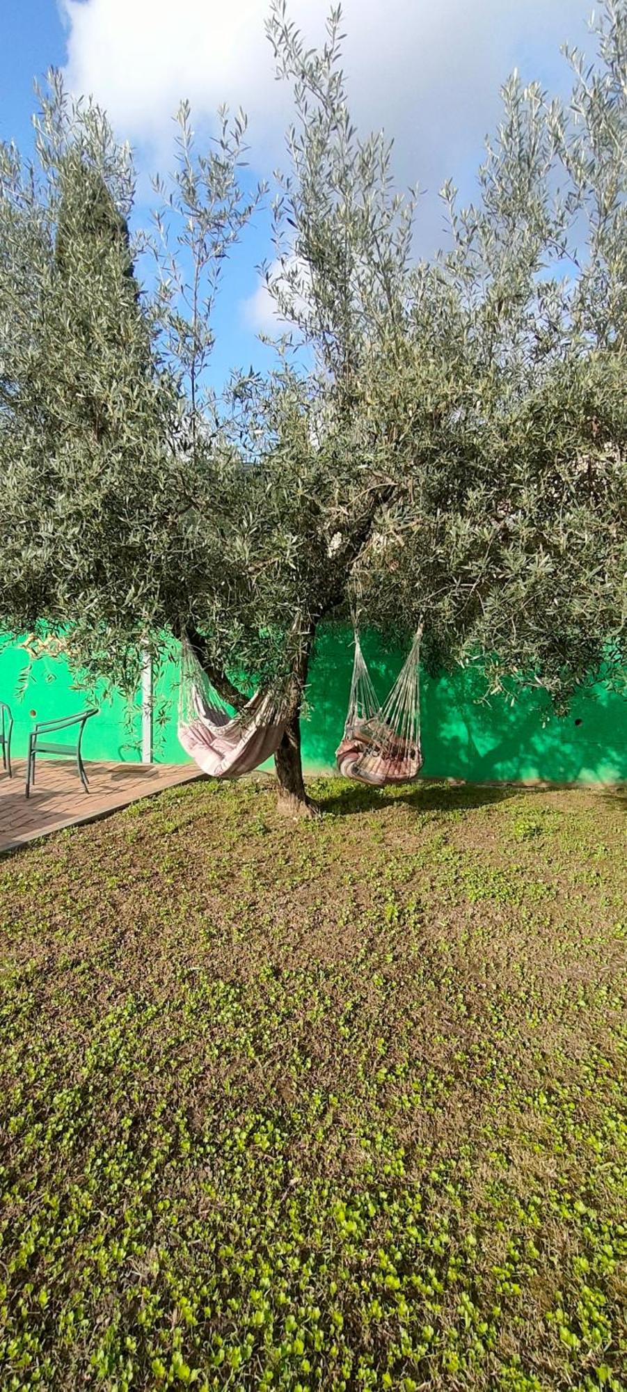 La Tenuta Di Eva 比萨 外观 照片