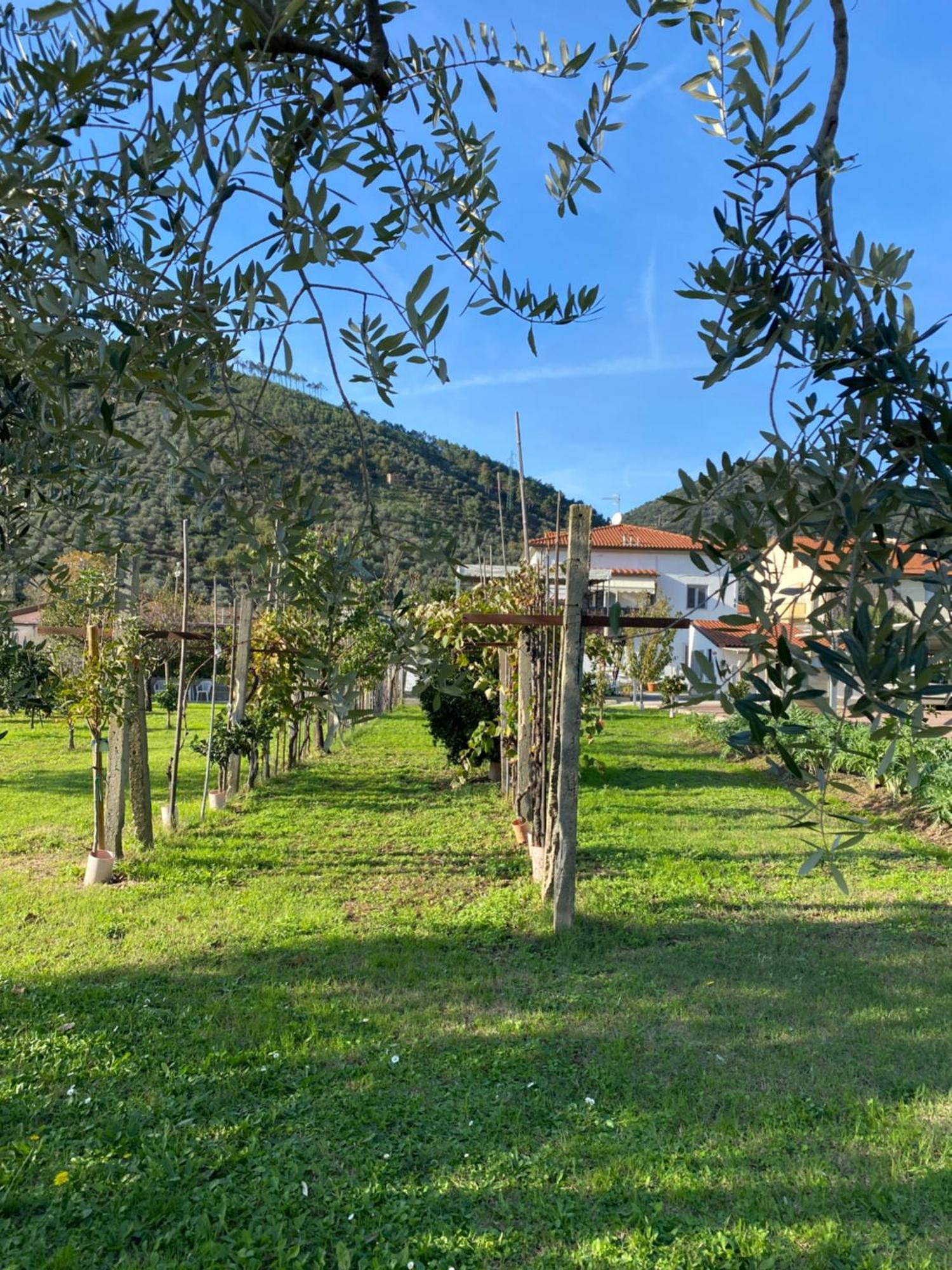 La Tenuta Di Eva 比萨 外观 照片