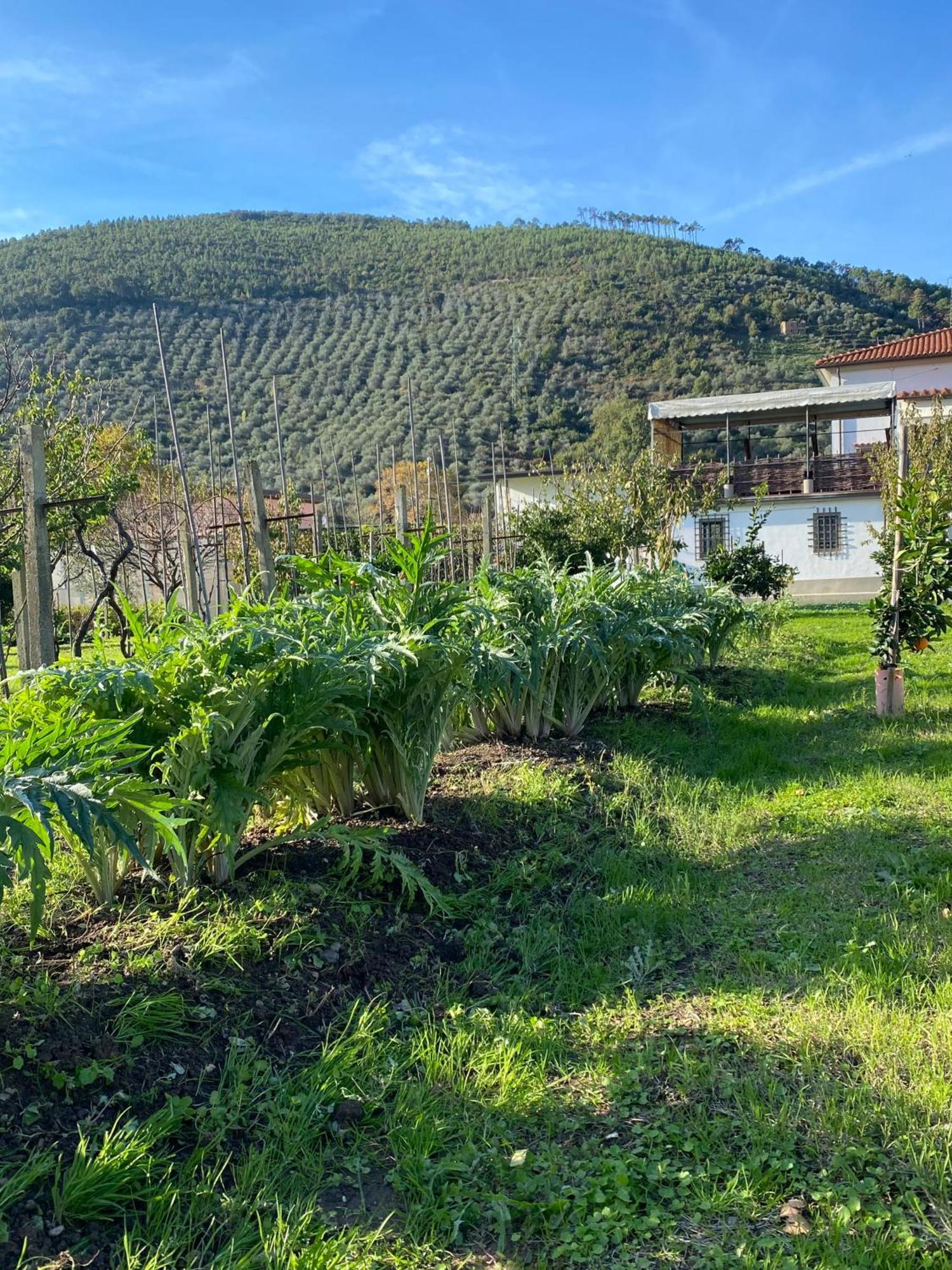 La Tenuta Di Eva 比萨 外观 照片
