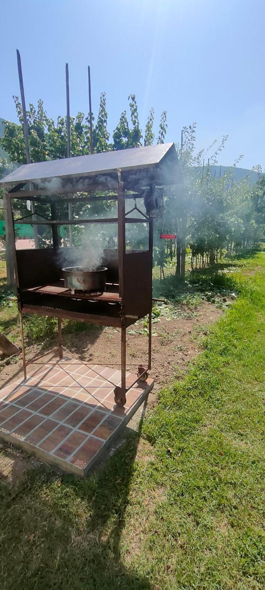 La Tenuta Di Eva 比萨 外观 照片